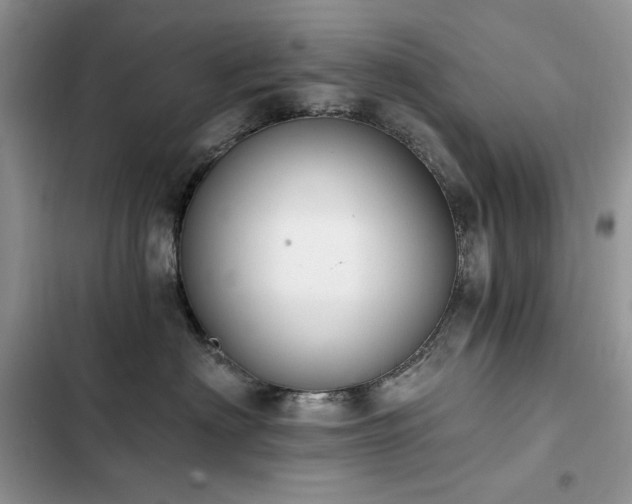 X0000103230622200808281432