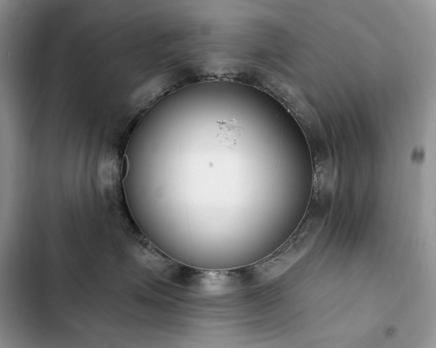 X0000103230623200808281432