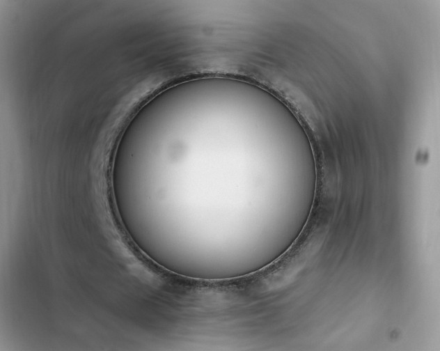 X0000103230625200808281431