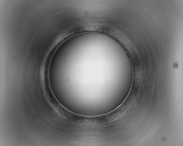 X0000103230626200808281431