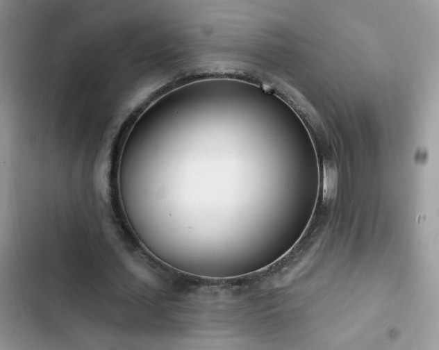 X0000103230627200808281431