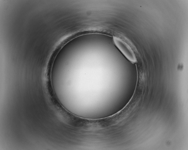 X0000103230628200808281431