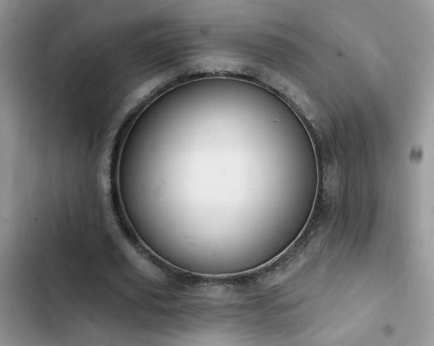 X0000103230629200808281431