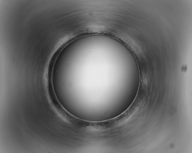 X0000103230630200808281431