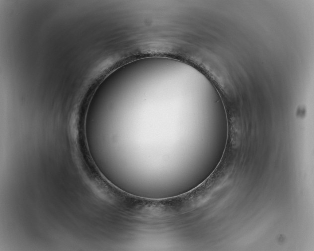 X0000103230631200808281431