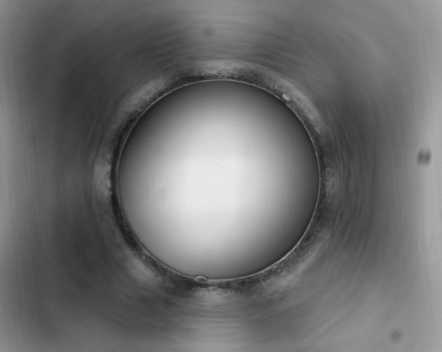 X0000103230633200808281431