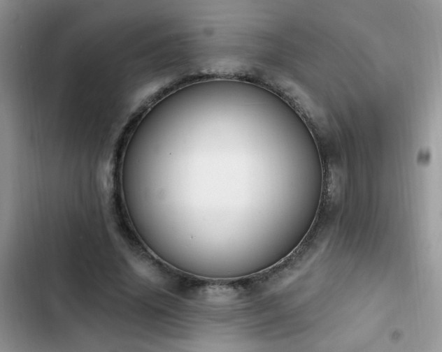 X0000103230636200808281431