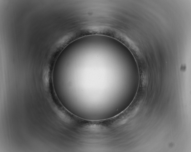 X0000103230637200808281431