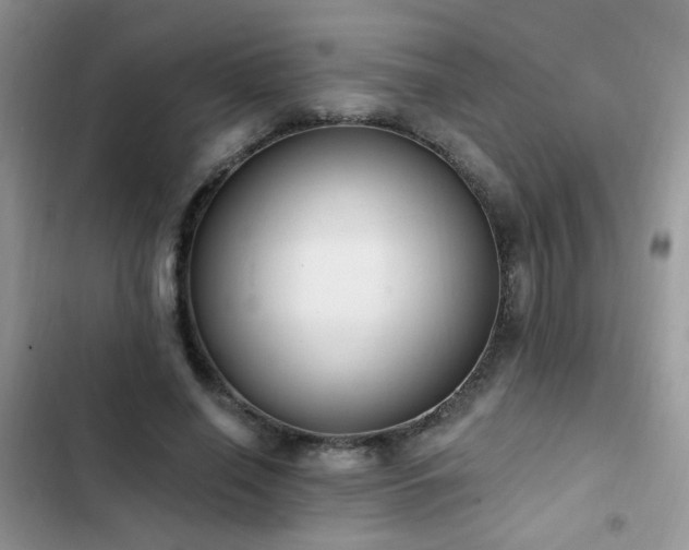 X0000103230638200808281431
