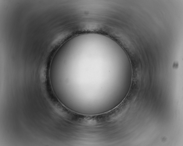 X0000103230640200808281431