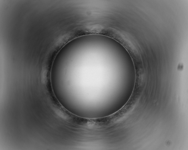 X0000103230641200808281431
