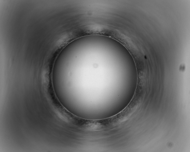 X0000103230642200808281431