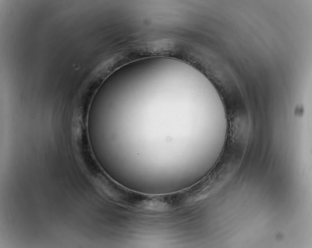 X0000103230644200808281431