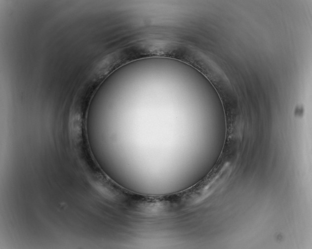 X0000103230646200808281431