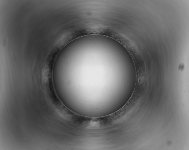 X0000103230647200808281431