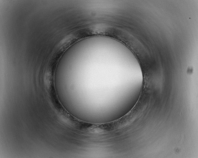 X0000103230648200808281431