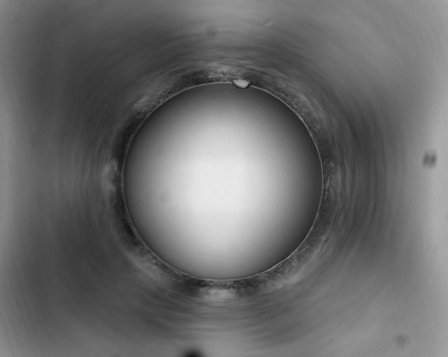 X0000103230649200808281431