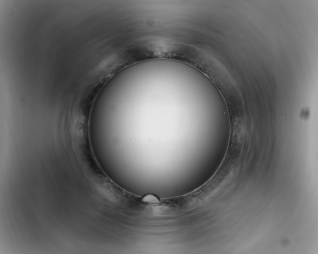 X0000103230650200808281431