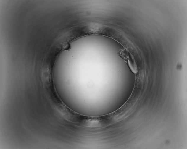 X0000103230651200808281432