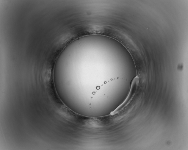 X0000103230652200808281432