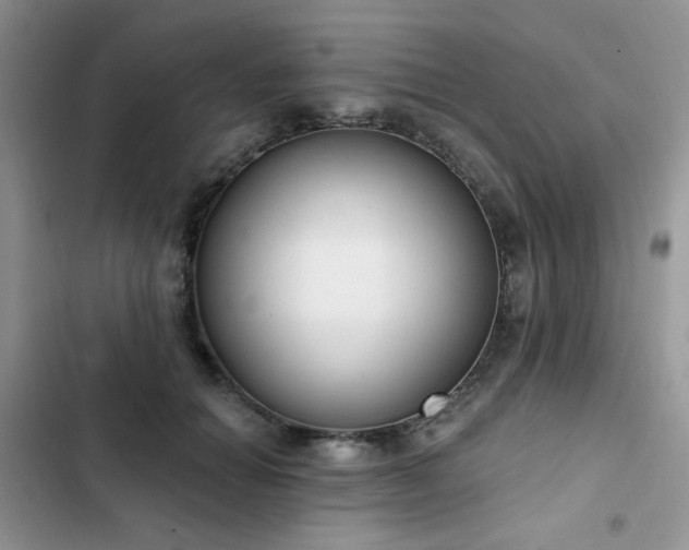X0000103230654200808281432
