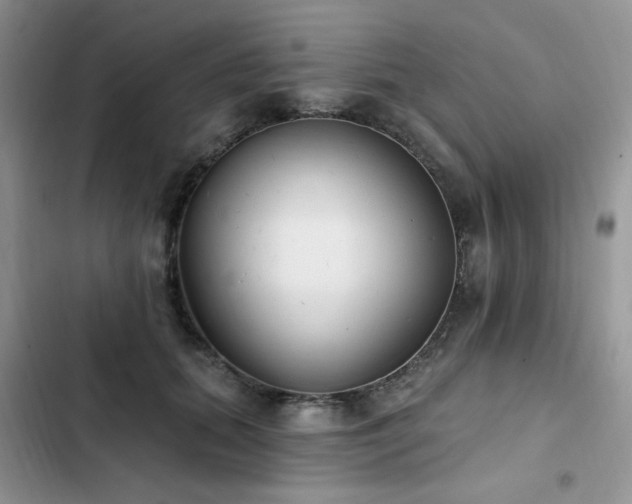 X0000103230655200808281432