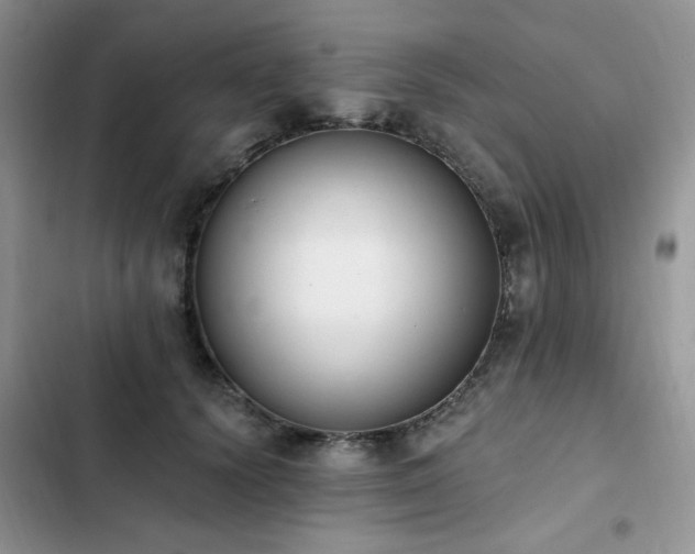 X0000103230656200808281432