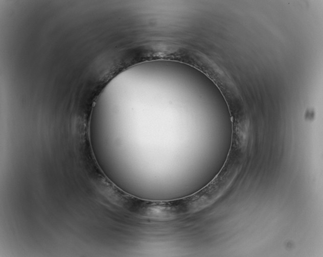 X0000103230657200808281432