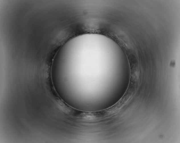 X0000103230658200808281432