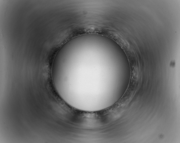 X0000103230659200808281432