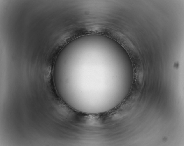 X0000103230660200808281432