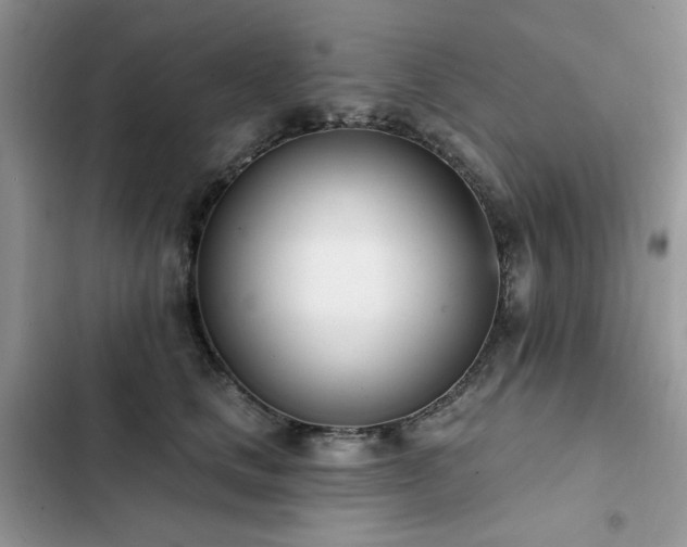 X0000103230661200808281432