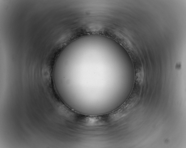 X0000103230662200808281432