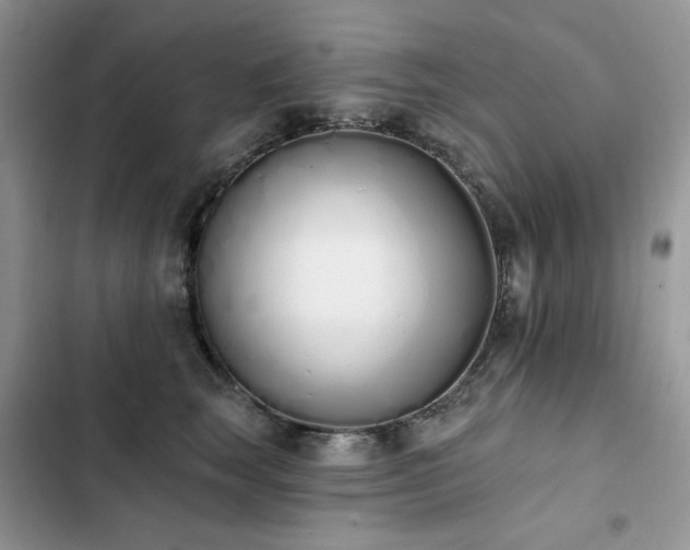 X0000103230663200808281432