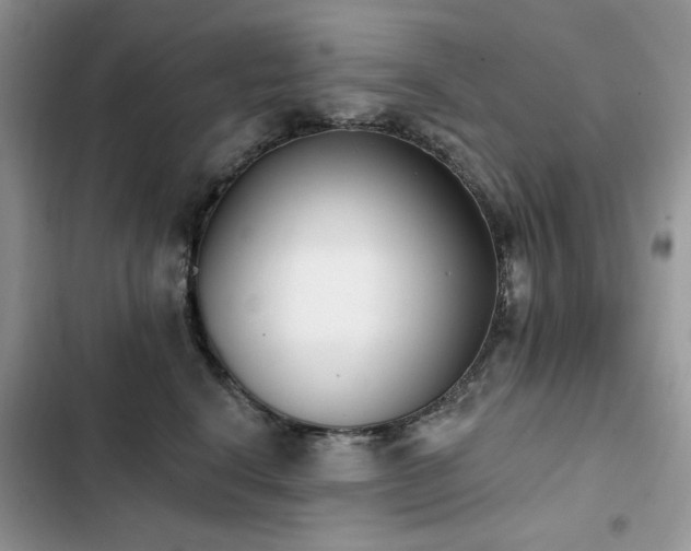X0000103230664200808281432