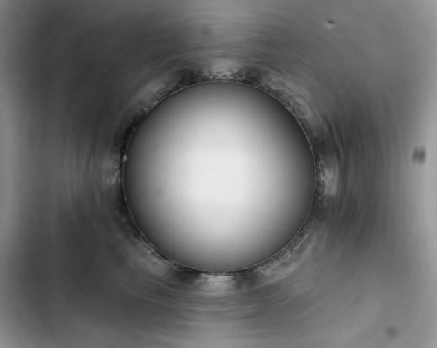 X0000103230665200808281432