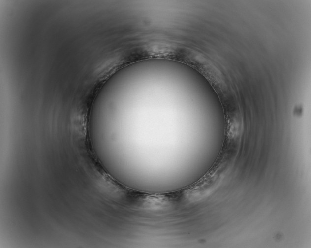 X0000103230666200808281432