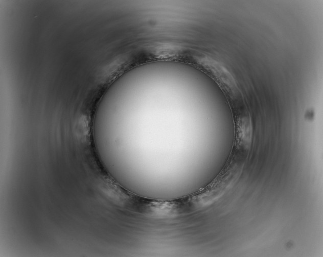 X0000103230667200808281432