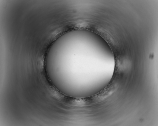 X0000103230668200808281432