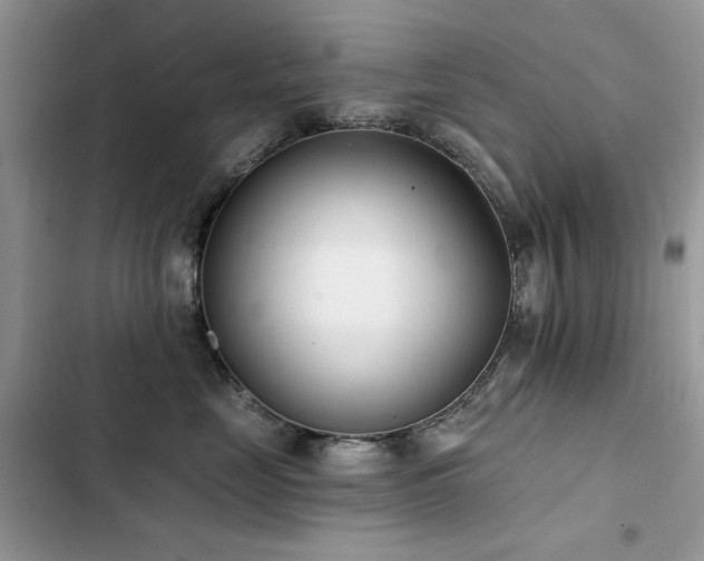 X0000103230669200808281432