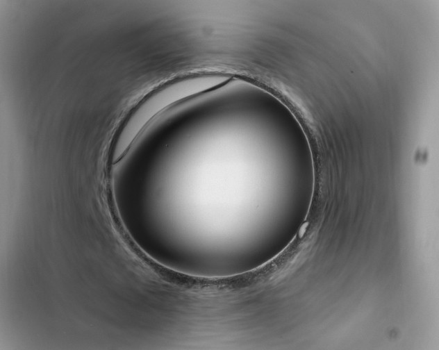 X0000103230673200808281431