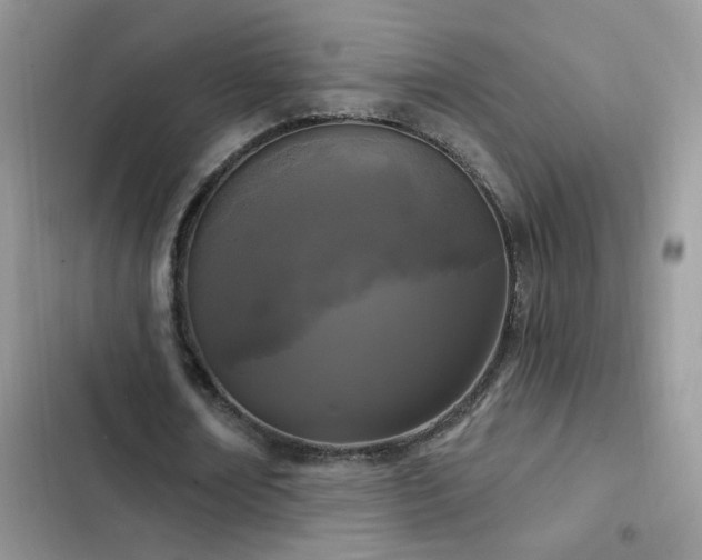 X0000103230674200808281431