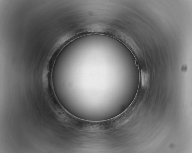 X0000103230675200808281431