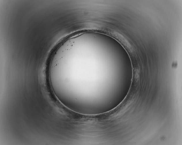 X0000103230676200808281431