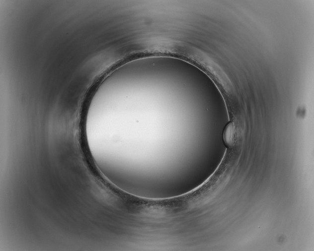 X0000103230677200808281431