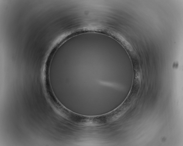 X0000103230678200808281431