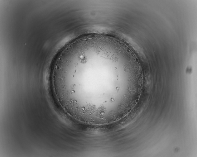 X0000103230679200808281431