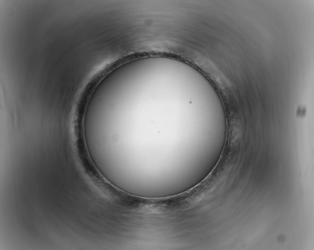 X0000103230680200808281431