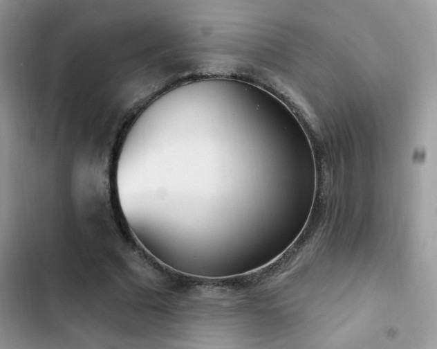 X0000103230681200808281431