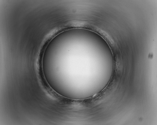 X0000103230682200808281431